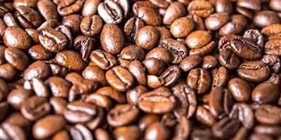 envasadora para granos cafe